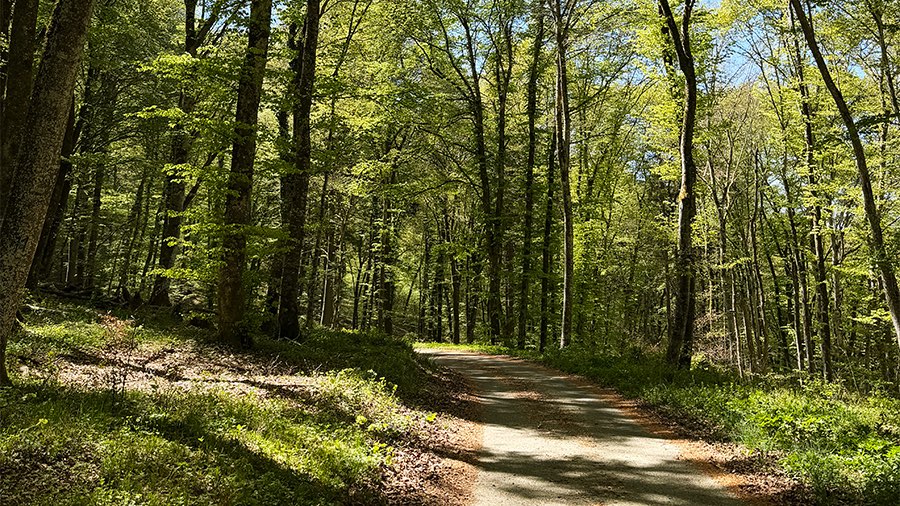 Kraftort Natur