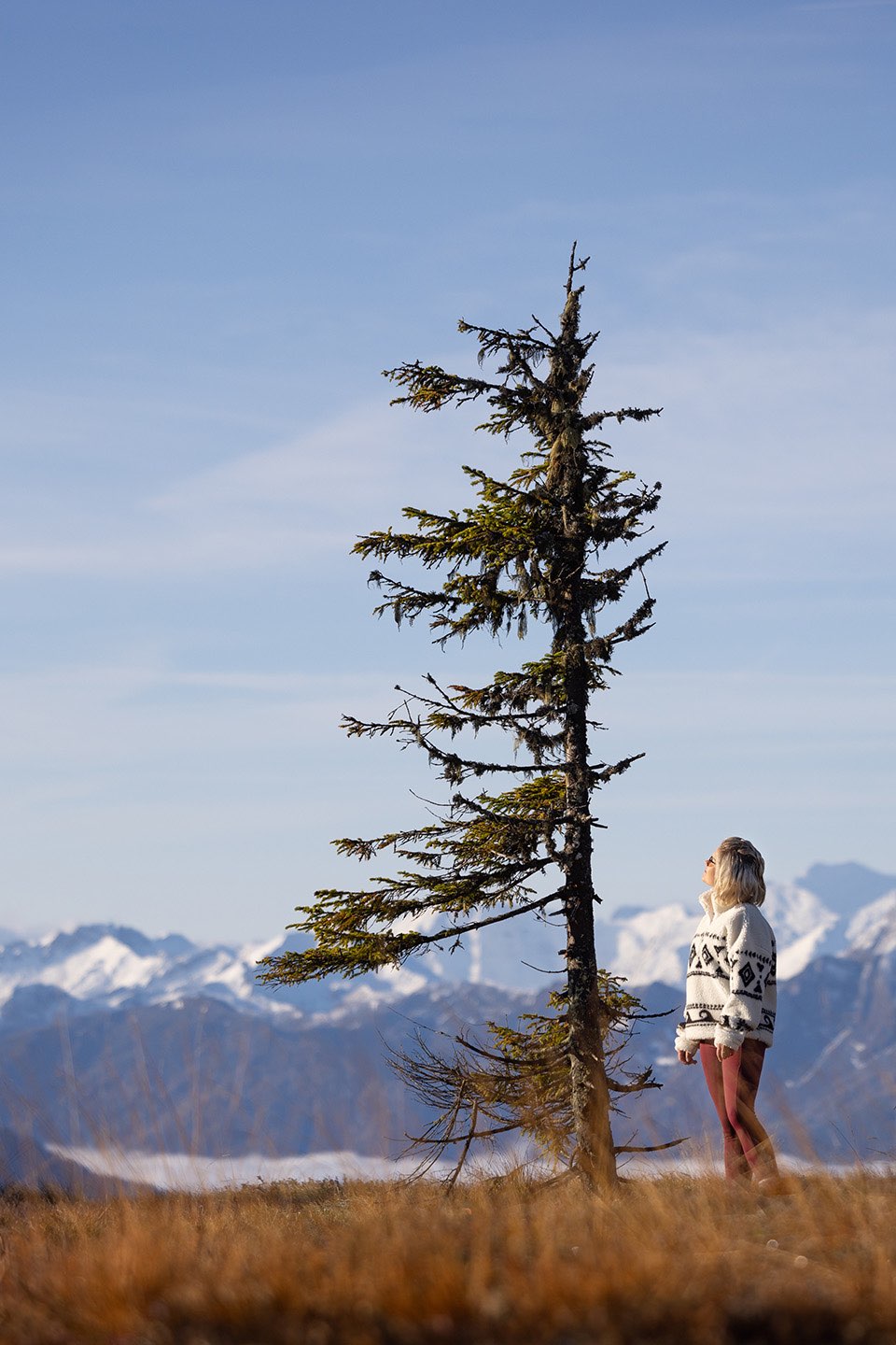 Hochschauend zu einem Baum, der gerade noch überlebt hat